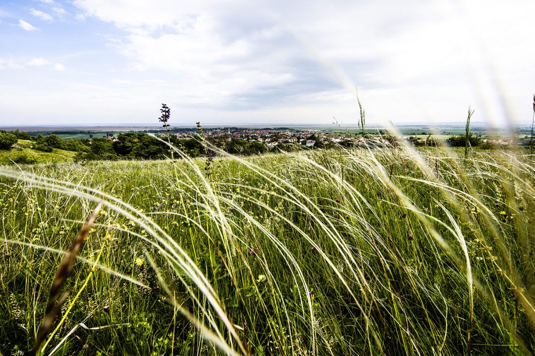 Tour de Natur – Entdecken, Erleben, Genießen 12. April 2025 und 13. April 2025
