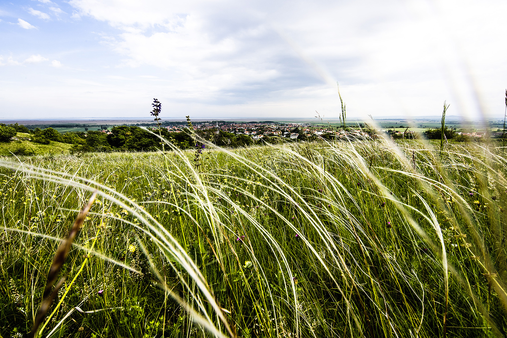 Abschlussevent