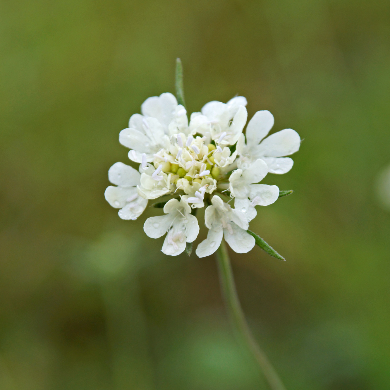 DeutschJahrndorf_WEB_Bild-PlanLand-01