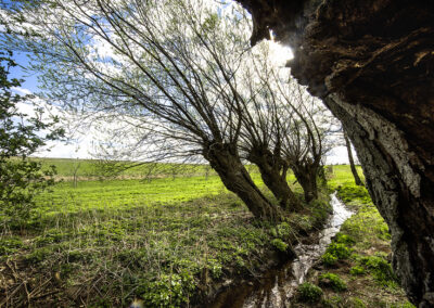 Gattendorf©Horvath