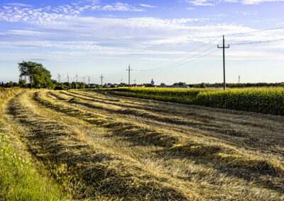 Neudorf©Horvath