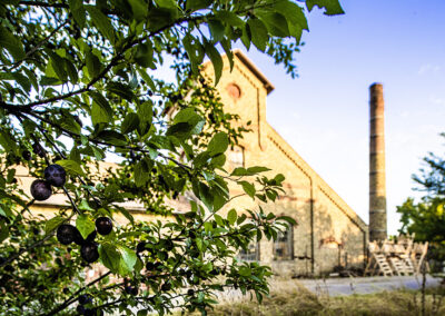 Neudorf©Horvath