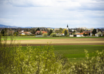 Nickelsdorf©Horvath