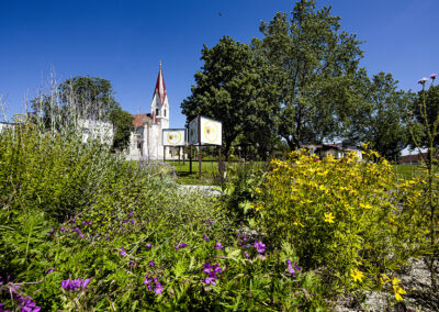 Nickelsdorf©Horvath
