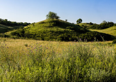 Nickelsdorf©Horvath