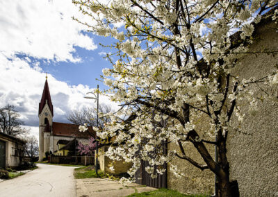 Nickelsdorf©Horvath