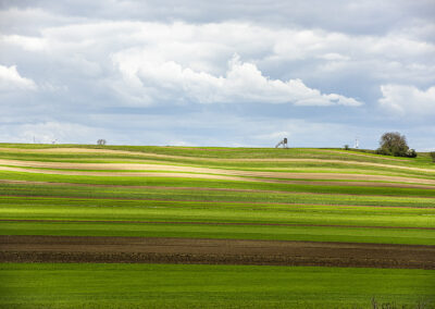 Nickelsdorf©Horvath