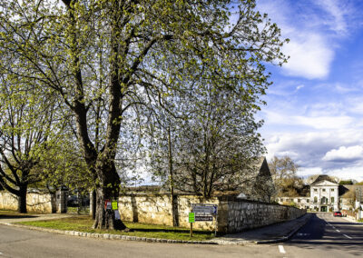 Potzneusiedl©Horvath