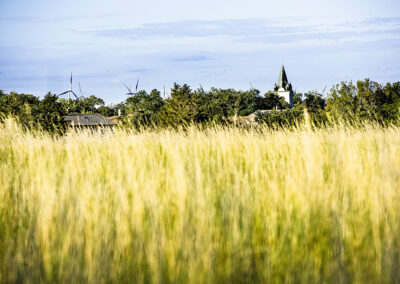 Potzneusiedl©Horvath
