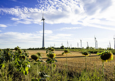 Potzneusiedl©Horvath