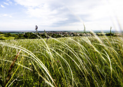 Zurndorf©Horvath