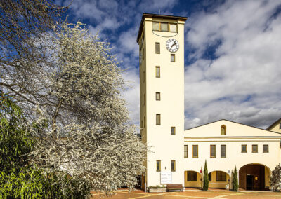 Zurndorf©Horvath