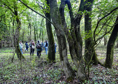 Zurndorf ©Horvath